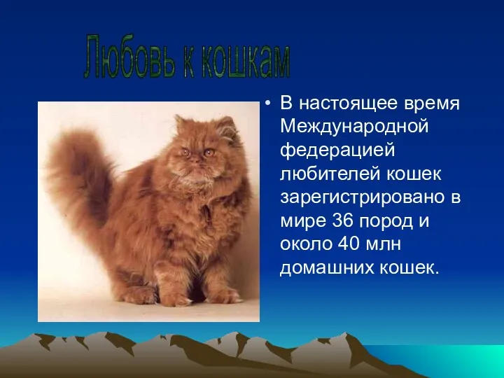В настоящее время Международной федерацией любителей кошек зарегистрировано в мире