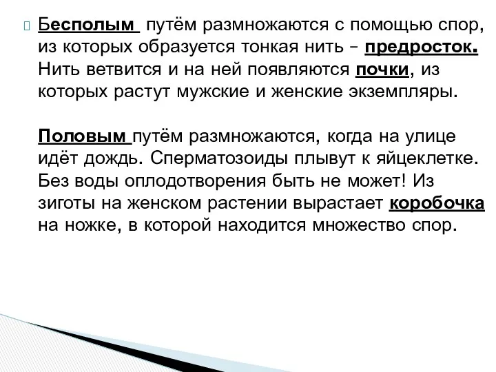 Бесполым путём размножаются с помощью спор, из которых образуется тонкая