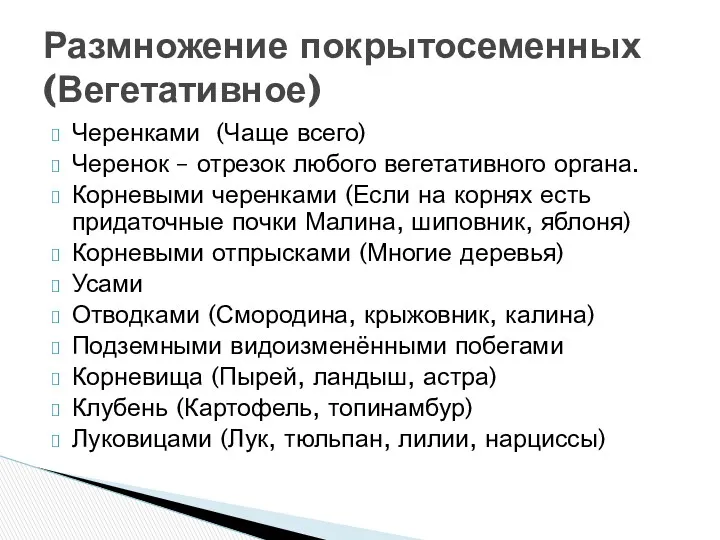 Черенками (Чаще всего) Черенок – отрезок любого вегетативного органа. Корневыми