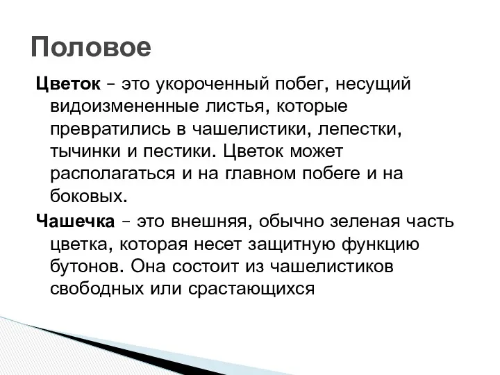 Цветок – это укороченный побег, несущий видоизмененные листья, которые превратились