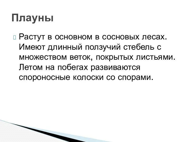 Растут в основном в сосновых лесах. Имеют длинный ползучий стебель