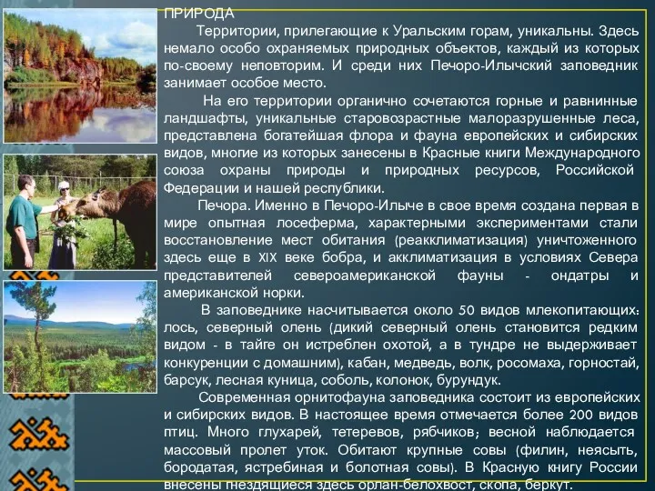 ПРИРОДА Территории, прилегающие к Уральским горам, уникальны. Здесь немало особо