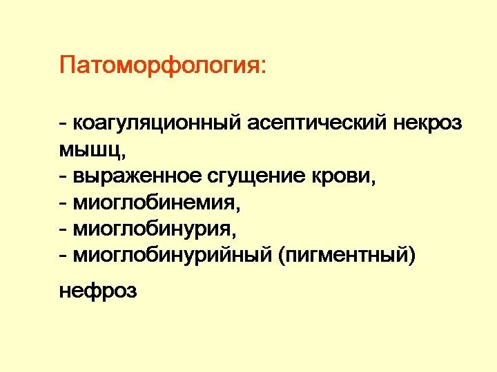 Патоморфология: - коагуляционный асептический некроз мышц, - выраженное сгущение крови,