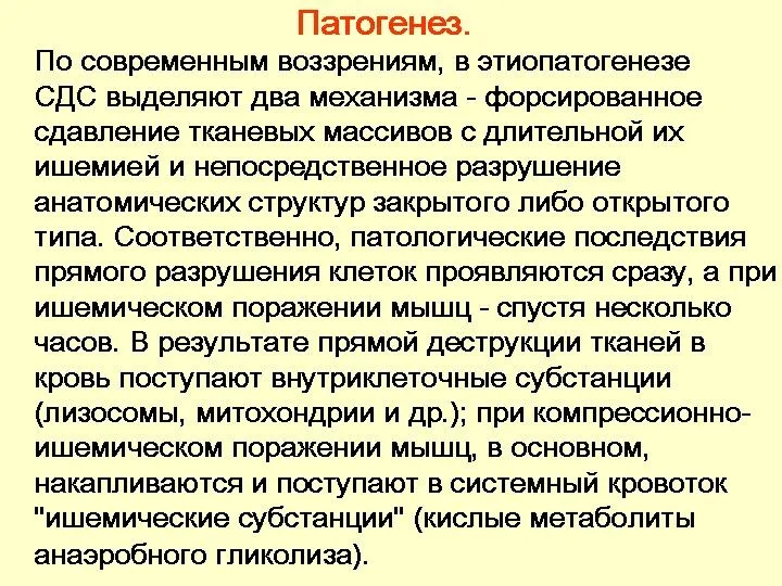 Патогенез. По современным воззрениям, в этиопатогенезе СДС выделяют два механизма