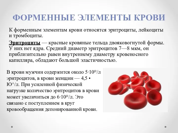 ФОРМЕННЫЕ ЭЛЕМЕНТЫ КРОВИ К форменным элементам крови относятся эритроциты, лейкоциты