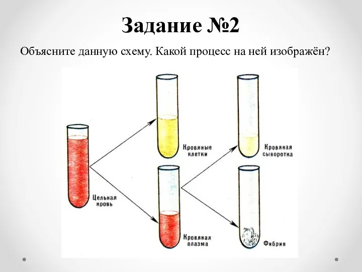 Задание №2 Объясните данную схему. Какой процесс на ней изображён?