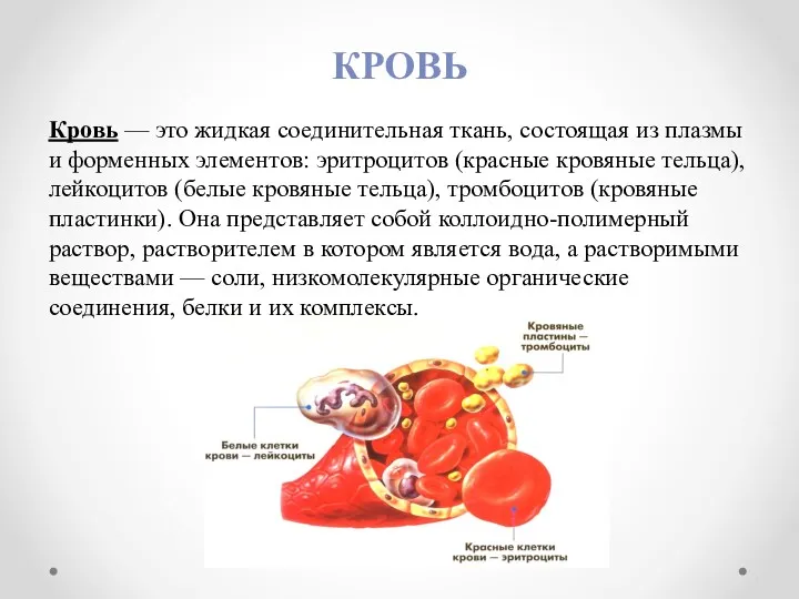 КРОВЬ Кровь — это жидкая соединительная ткань, состоящая из плазмы