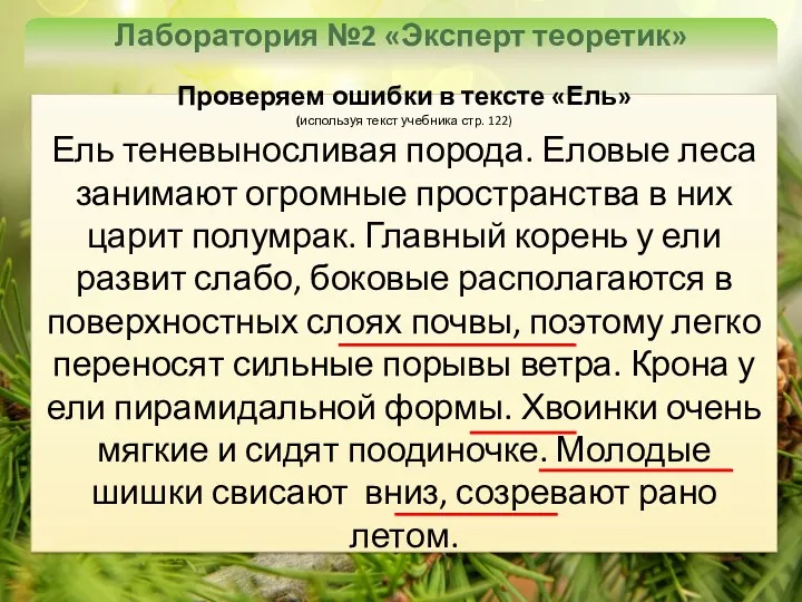 Лаборатория №2 «Эксперт теоретик» Проверяем ошибки в тексте «Ель» (используя