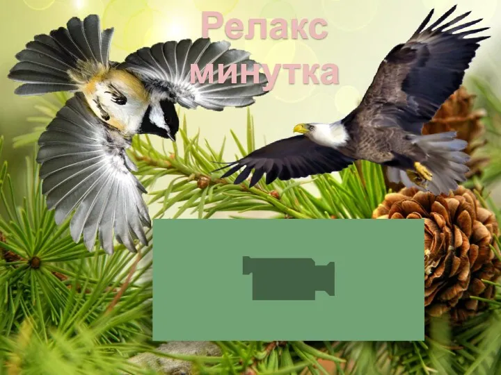 Релакс минутка