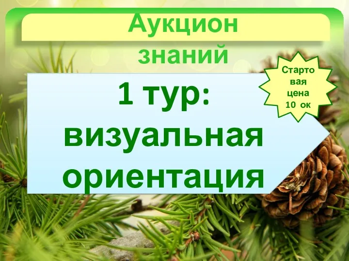 Аукцион знаний 1 тур: визуальная ориентация Стартовая цена 10 ок