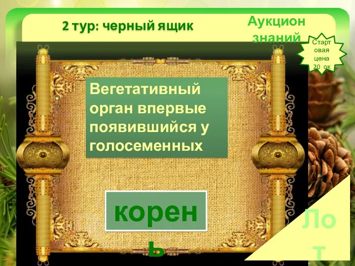 Аукцион знаний 2 тур: черный ящик Стартовая цена 20 ок