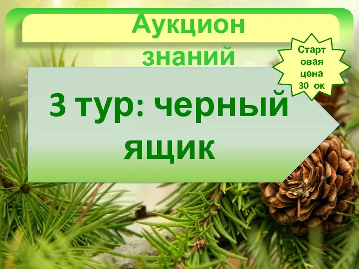 Аукцион знаний 3 тур: черный ящик Стартовая цена 30 ок