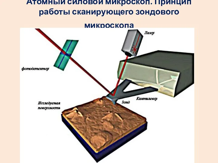 Атомный силовой микроскоп. Принцип работы сканирующего зондового микроскопа