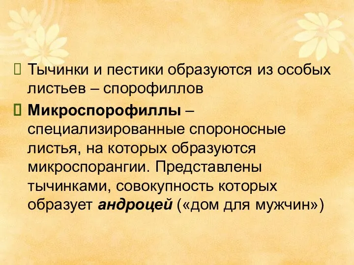 Тычинки и пестики образуются из особых листьев – спорофиллов Микроспорофиллы