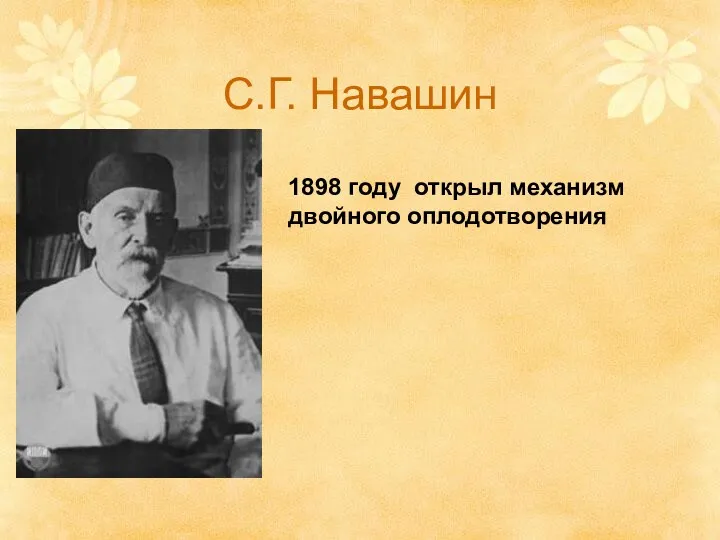 С.Г. Навашин 1898 году открыл механизм двойного оплодотворения