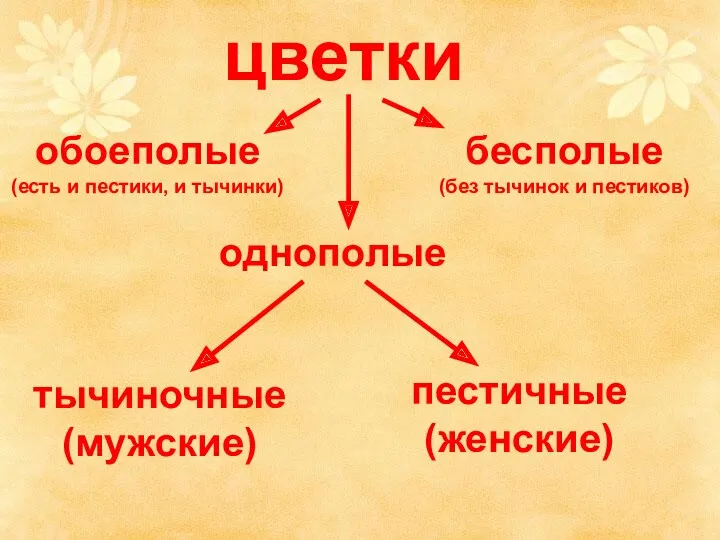 цветки обоеполые (есть и пестики, и тычинки) однополые бесполые (без