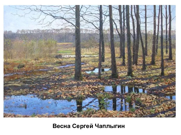 Весна Сергей Чаплыгин Весна Сергей Чаплыгин