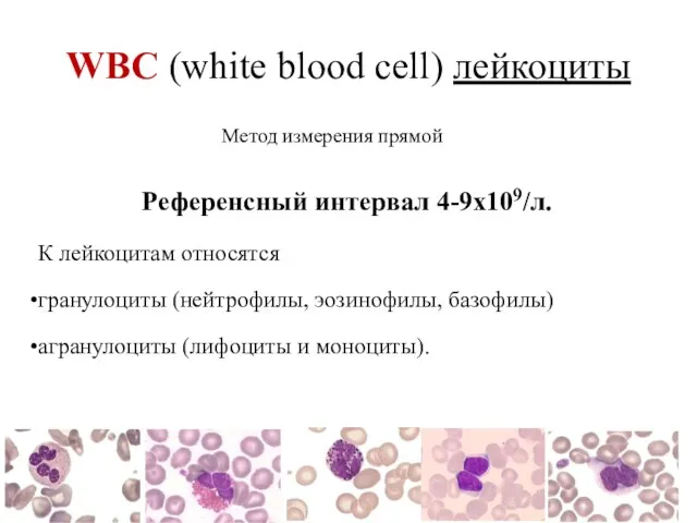 WBC (white blood cell) лейкоциты Референсный интервал 4-9х109/л. К лейкоцитам