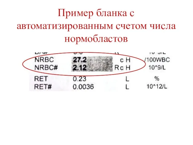 Пример бланка с автоматизированным счетом числа нормобластов