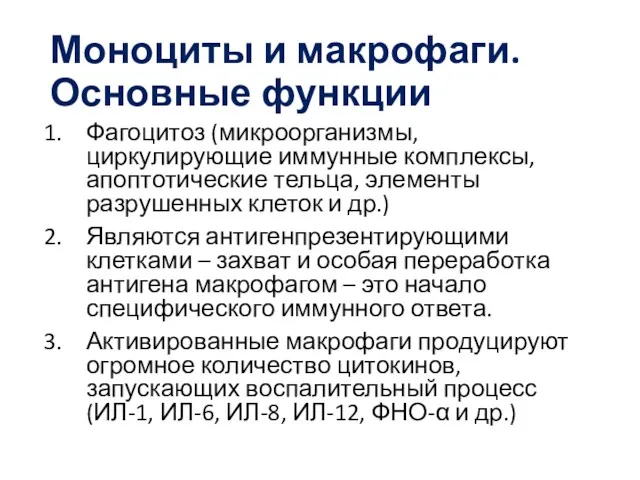 Моноциты и макрофаги. Основные функции Фагоцитоз (микроорганизмы, циркулирующие иммунные комплексы,