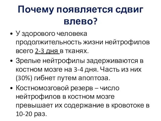 Почему появляется сдвиг влево? У здорового человека продолжительность жизни нейтрофилов