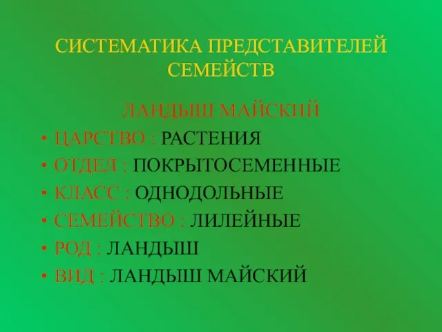 СИСТЕМАТИКА ПРЕДСТАВИТЕЛЕЙ СЕМЕЙСТВ ЛАНДЫШ МАЙСКИЙ ЦАРСТВО : РАСТЕНИЯ ОТДЕЛ :