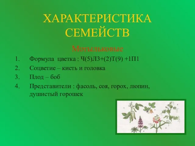 ХАРАКТЕРИСТИКА СЕМЕЙСТВ Мотыльковые Формула цветка : Ч(5)Л3+(2)Т(9) +1П1 Соцветие –