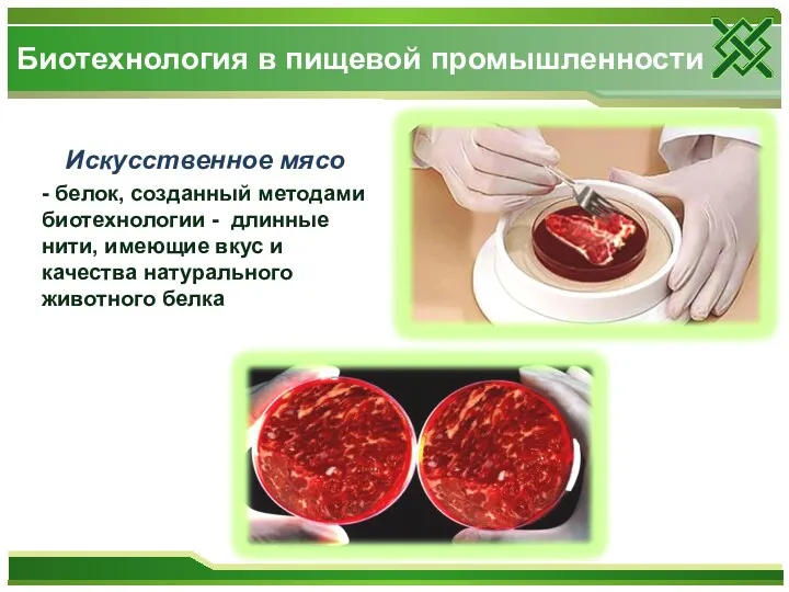 Искусственное мясо - белок, созданный методами биотехнологии - длинные нити, имеющие вкус и