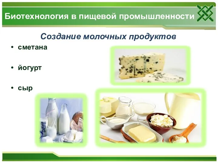 Создание молочных продуктов сметана йогурт сыр Биотехнология в пищевой промышленности