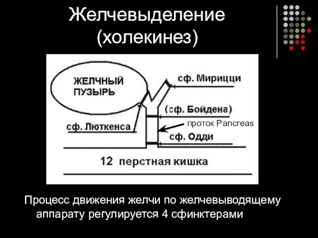 Желчевыделение (холекинез) Процесс движения желчи по желчевыводящему аппарату регулируется 4 сфинктерами проток Pancreas