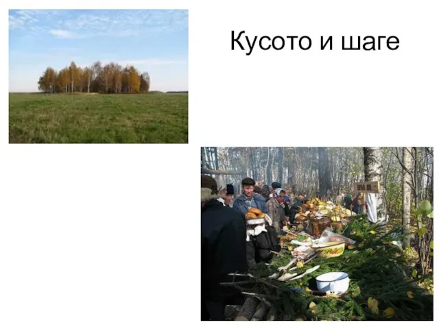 Кусото и шаге