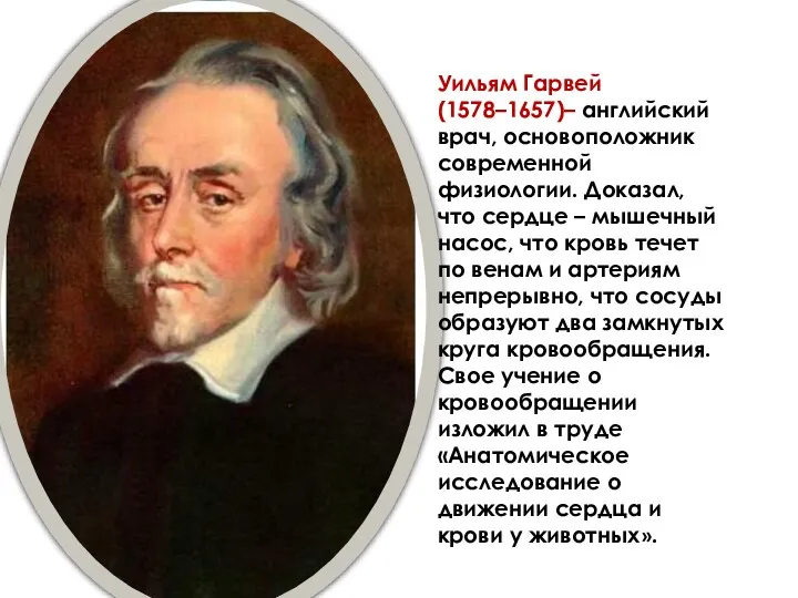 Уильям Гарвей (1578–1657)– английский врач, основоположник современной физиологии. Доказал, что сердце – мышечный