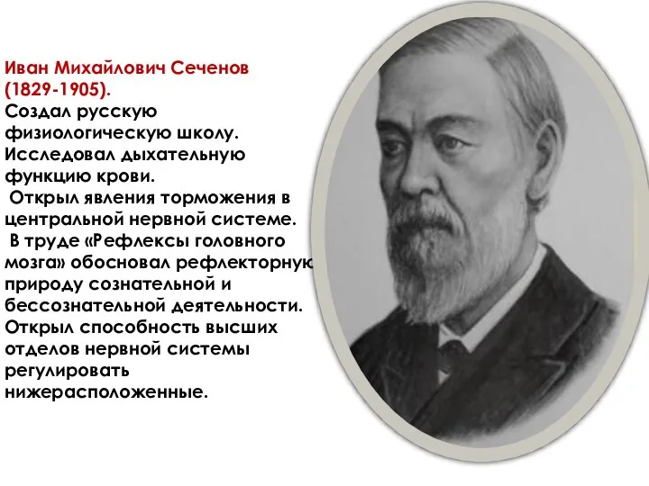 Иван Михайлович Сеченов (1829-1905). Создал русскую физиологическую школу. Исследовал дыхательную