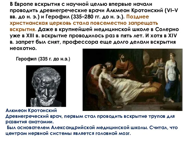В Европе вскрытия с научной целью впервые начали проводить древнегреческие врачи Алкмеон Кротонский