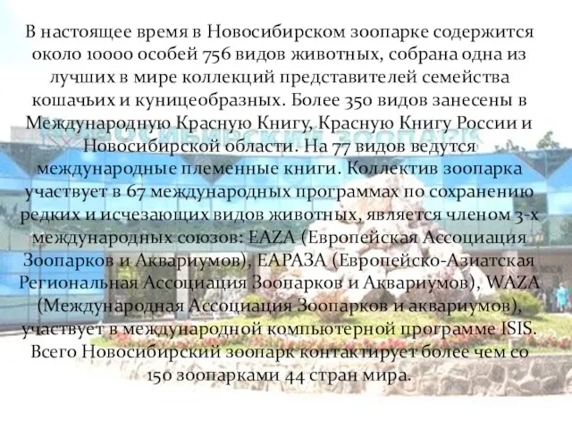 В настоящее время в Новосибирском зоопарке содержится около 10000 особей