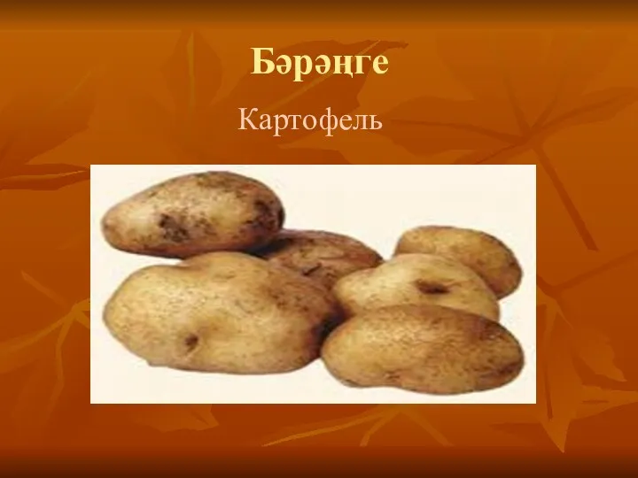 Бәрәңге Картофель