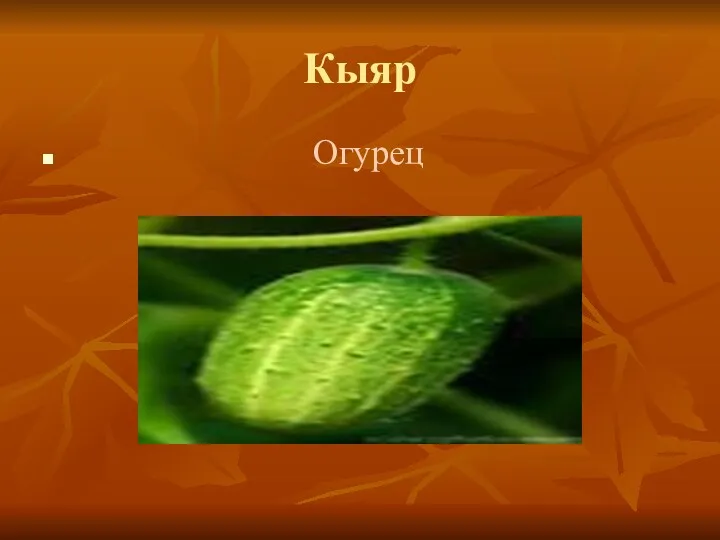 Кыяр Огурец