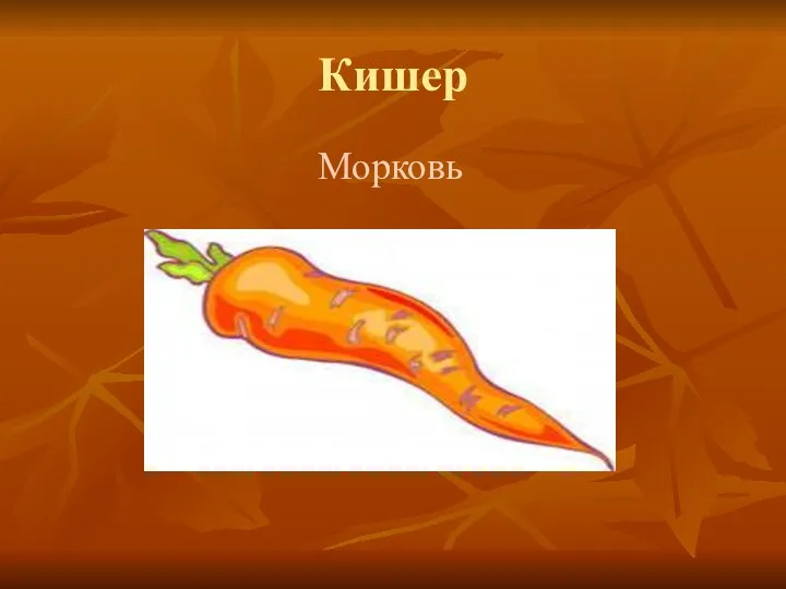 Кишер Морковь