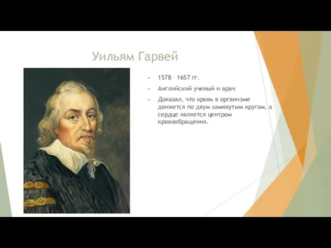 Уильям Гарвей 1578 – 1657 гг. Английский ученый и врач