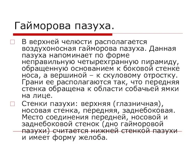 Гайморова пазуха. В верхней челюсти располагается воздухоносная гайморова пазуха. Данная