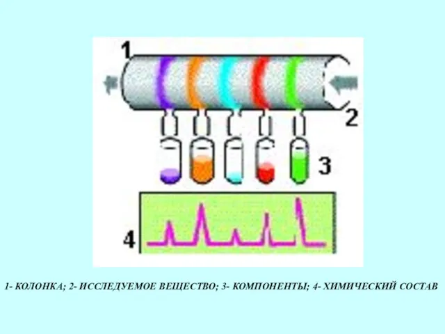 1- КОЛОНКА; 2- ИССЛЕДУЕМОЕ ВЕЩЕСТВО; 3- КОМПОНЕНТЫ; 4- ХИМИЧЕСКИЙ СОСТАВ