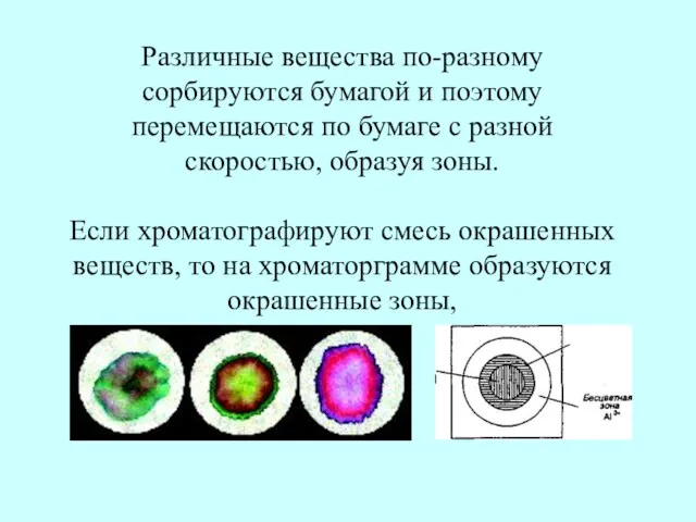 Различные вещества по-разному сорбируются бумагой и поэтому перемещаются по бумаге