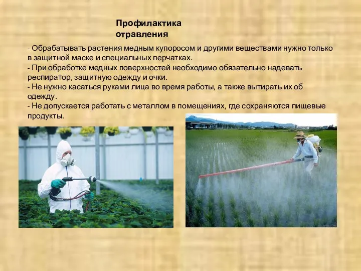 Профилактика отравления - Обрабатывать растения медным купоросом и другими веществами нужно только в