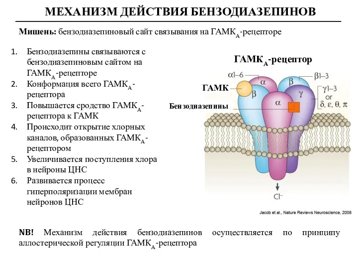 МЕХАНИЗМ ДЕЙСТВИЯ БЕНЗОДИАЗЕПИНОВ Мишень: бензодиазепиновый сайт связывания на ГАМКА-рецепторе ГАМКА-рецептор ГАМК Бензодиазепины Бензодиазепины