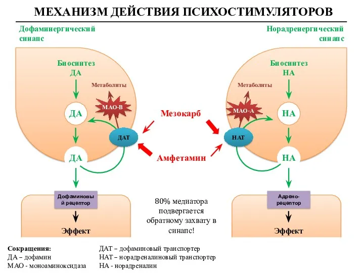 МЕХАНИЗМ ДЕЙСТВИЯ ПСИХОСТИМУЛЯТОРОВ Дофаминергический синапс Норадренергический синапс ДА ДА Дофаминовый рецептор Эффект ДАТ