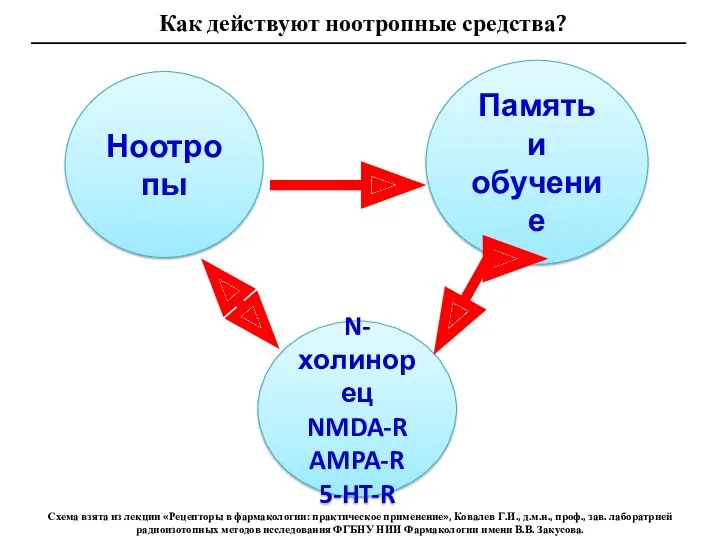 Память и обучение N-холинорец NMDA-R AMPA-R 5-HT-R Ноотропы Как действуют ноотропные средства? Схема