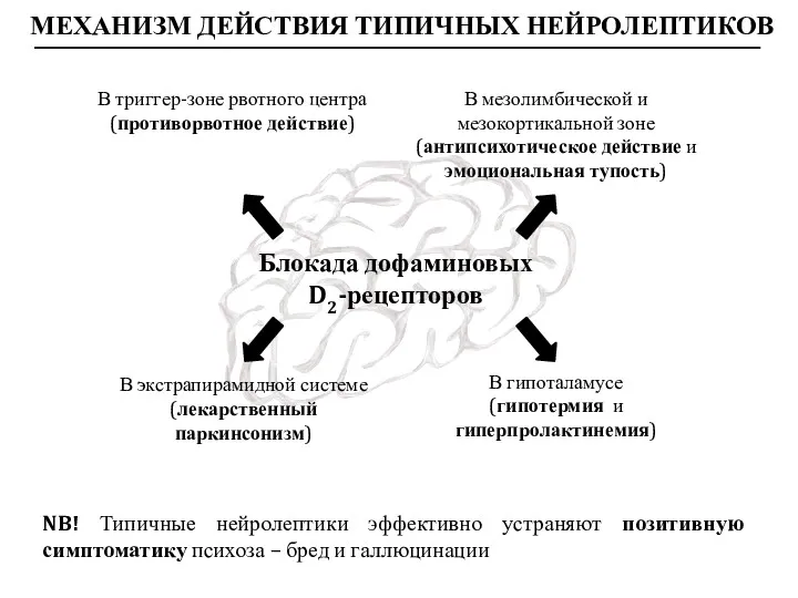 МЕХАНИЗМ ДЕЙСТВИЯ ТИПИЧНЫХ НЕЙРОЛЕПТИКОВ Блокада дофаминовых D2-рецепторов В мезолимбической и мезокортикальной зоне (антипсихотическое