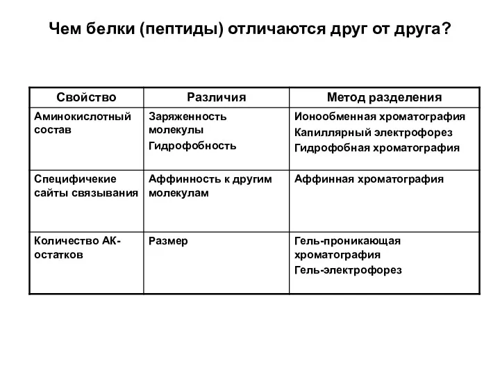 Чем белки (пептиды) отличаются друг от друга?