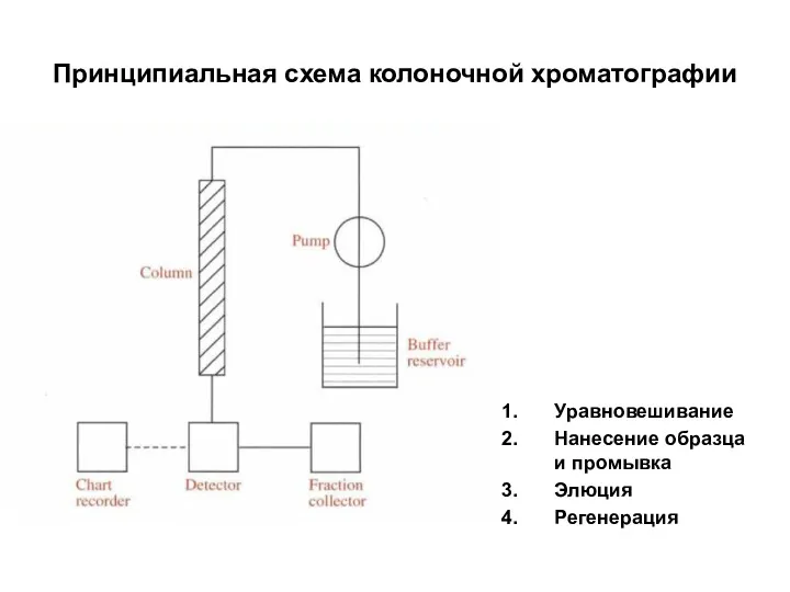 Принципиальная схема колоночной хроматографии Уравновешивание Нанесение образца и промывка Элюция Регенерация