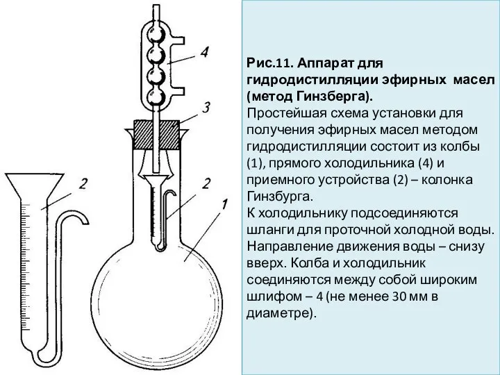 Рис.11. Аппарат для гидродистилляции эфирных масел (метод Гинзберга). Простейшая схема